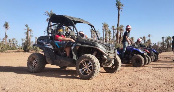 Marrakech Buggy Tour at the Palmgroves - Activity Details