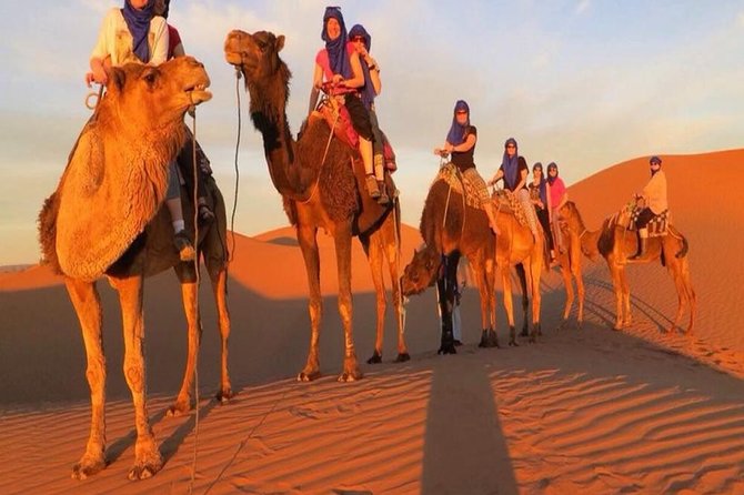 Marrakech Camel Ride - Overview of Marrakech Camel Ride