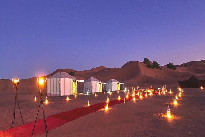 Marrakech Camel Ride - Reviews and Ratings for the Experience