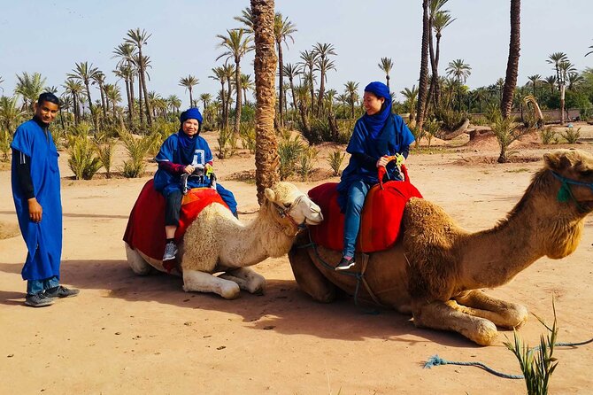 Marrakech : Camel Ride and Quad Bike in Palmeraie - Additional Highlights