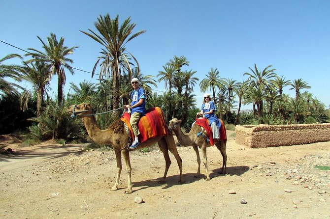 Marrakech Camel Ride at the Palm Groves - Package Details and Inclusions