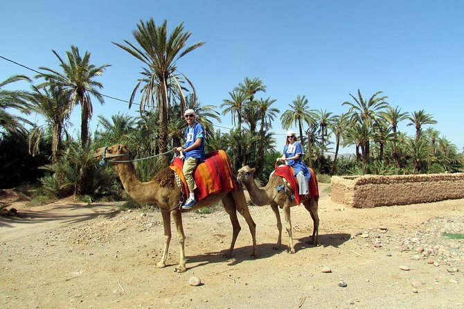 Marrakech Camel Ride at the Palm Groves - Sample Menu and Refreshments