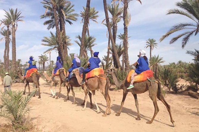 Marrakech Camel Ride Experience With Pick-Up - Exploring the Palm Grove Area on Camelback