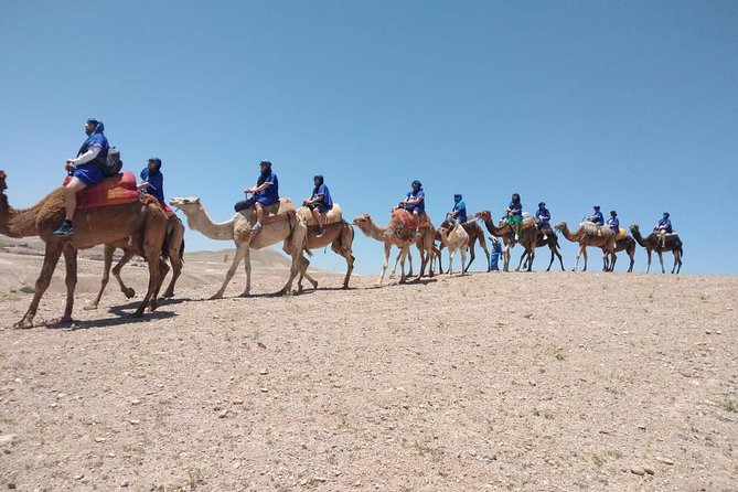 Marrakech Camel Ride in Agafay Desert With Lunch - Booking and Confirmation Process