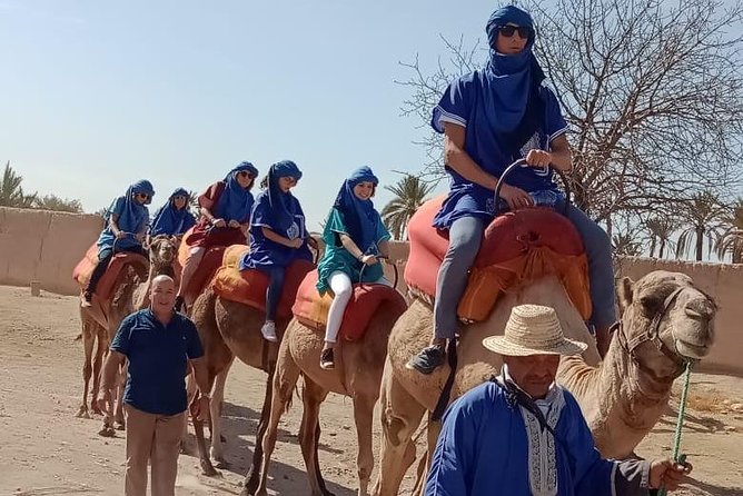 Marrakech Camel Ride in Palm Grove - What to Expect on the Camel Ride