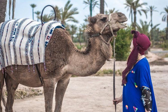 Marrakech Camel Ride in the Oasis Palmeraie - Booking Information