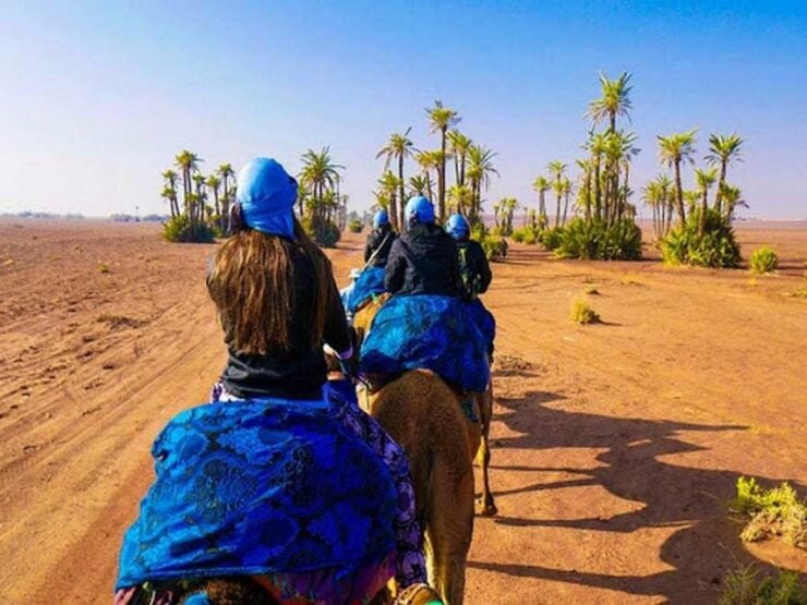 Marrakech Camel Ride in the Oasis Palmeraie - Booking Details
