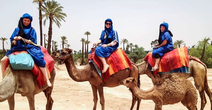 Marrakech: Camel Ride in the Oasis Palmeraie - Activity Details