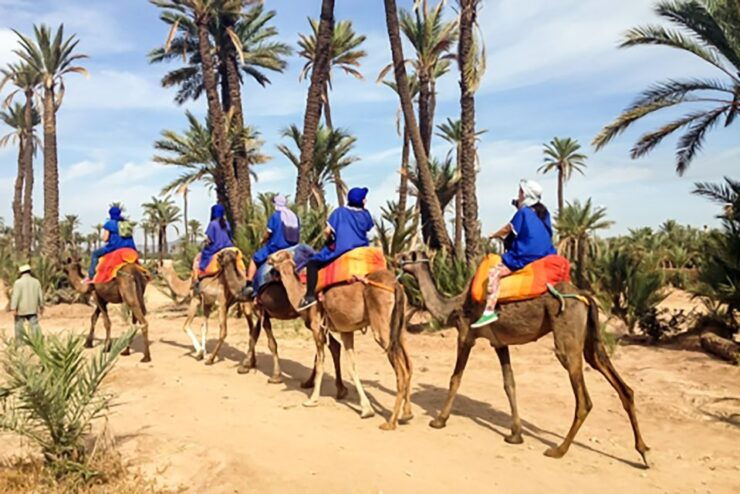 Marrakech: Camel Ride in the Oasis Palmeraie - Experience Highlights