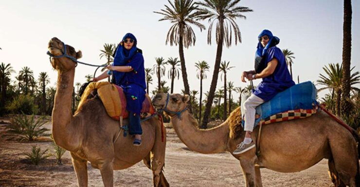 Marrakech Camel Ride in the Oasis Palmeraie and Desert - Camel Ride Itinerary Details