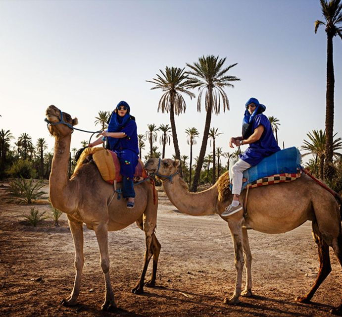 Marrakech Camel Ride in the Oasis Palmeraie and Desert - Quad Bike Adventure Highlights