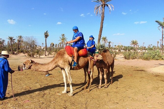 Marrakech Camel Ride in the Oasis Palmeraie - The Oasis Palmeraie: A Desert Paradise