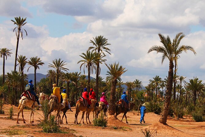 Marrakech Camel Ride in the Oasis Palmeraie - Exploring the Hidden Beauty of Marrakech