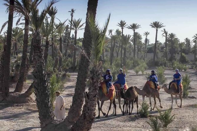 Marrakech Camel Ride in the Oasis Palmeraie - Authentic Reviews and Ratings