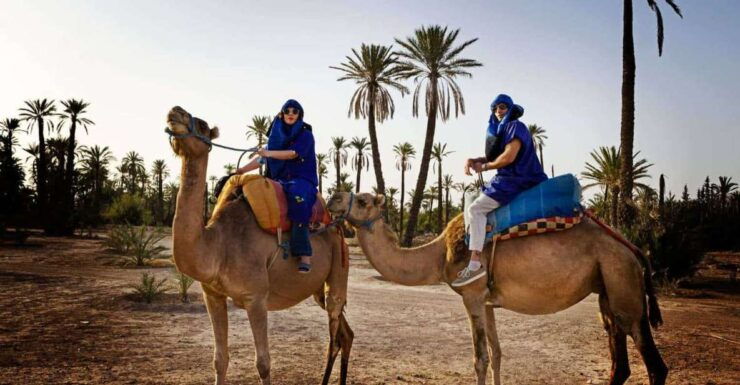 Marrakech: Camel Ride in the Palm Grove - Booking Details