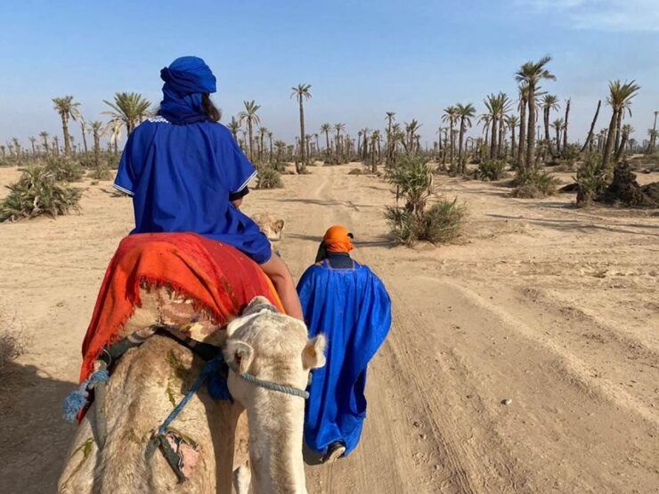 Marrakech Camel Ride in the Palm Grove - Experience Highlights