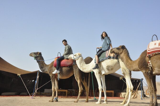 Marrakech: Camel Ride in the Palm Grove - Meeting and Pickup Details