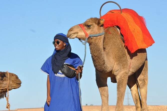 Marrakech: Camel Ride in the Palm Grove - Reviews of the Camel Ride in Marrakech