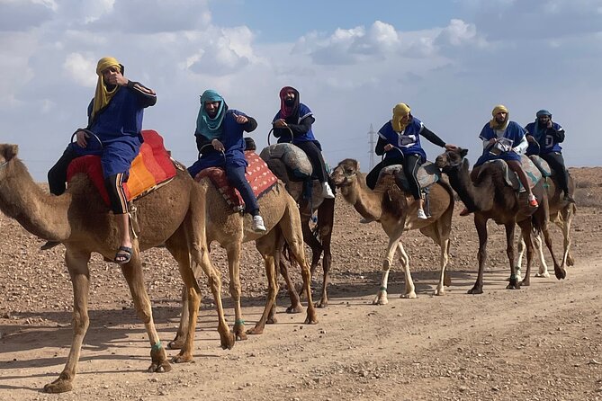 Marrakech: Camel Ride in the Palm Grove - Additional Information and Terms for the Camel Ride Experience