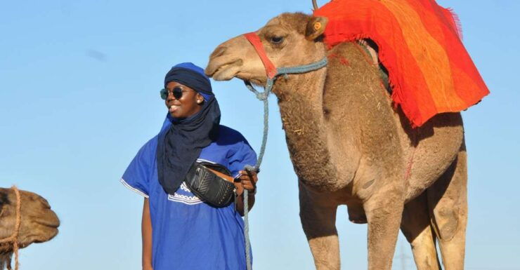 Marrakech : Camel Ride in the Palm Grove With Transport - Booking Details