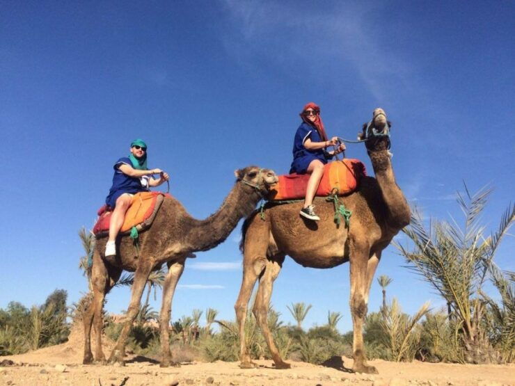 Marrakech: Camel Ride in the Palmeraie - Booking and Payment Information