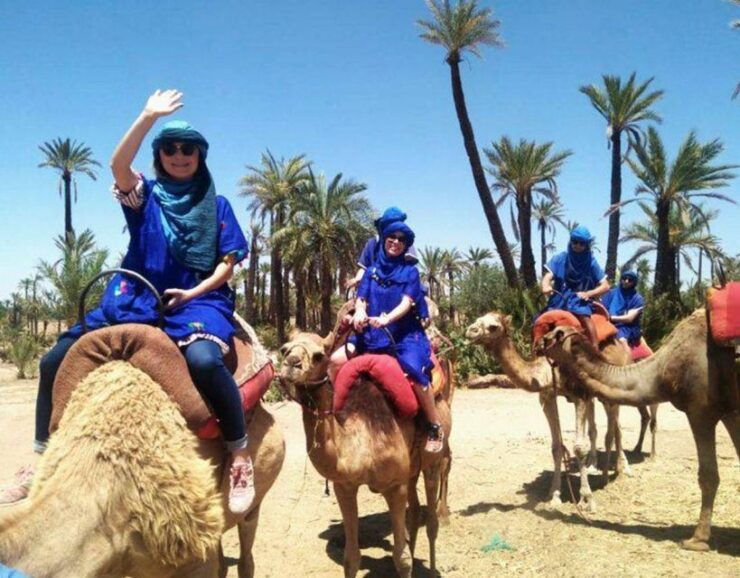 Marrakech: Camel Ride in the Palmeraie - Experience Highlights