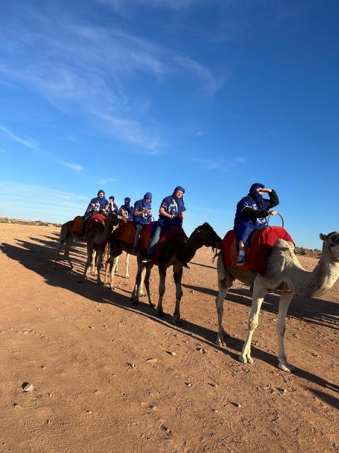 Marrakech : Camel Ride or Quad Bike & Wellness Spa Day Tour - Transportation and Logistics