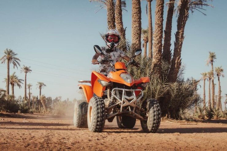 Marrakech Camel Ride & Quad Bike in Palmeraie - Experience Highlights