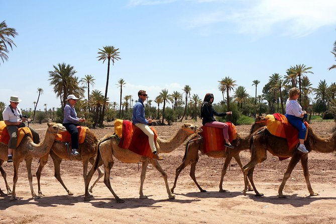 Marrakech Camel Ride Tour - Terms and Conditions for the Tour