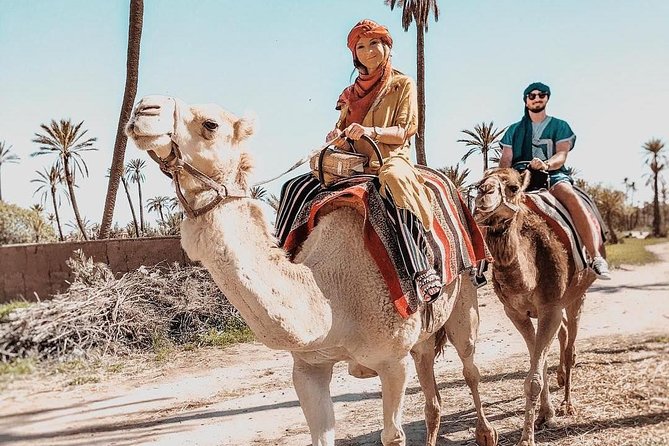 Marrakech Camel Ride Tour - The Sum Up