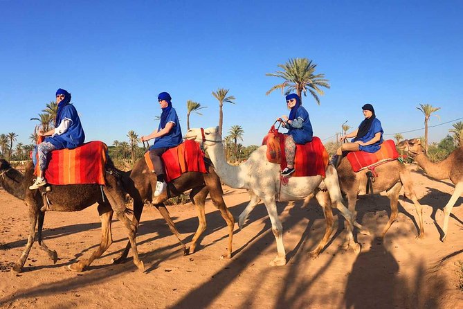 Marrakech Camel Ride Tour in Palm Grove - Additional Information and Considerations