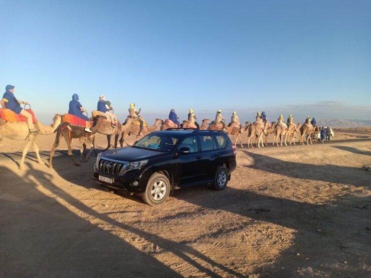 Marrakech: Camel Safari at Agafay Desert With Lunch - Activity Details