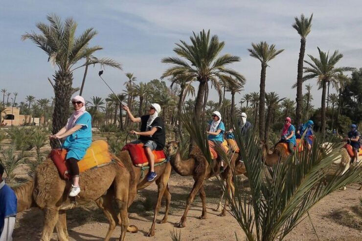 Marrakech: Camel Trek - Activity Details