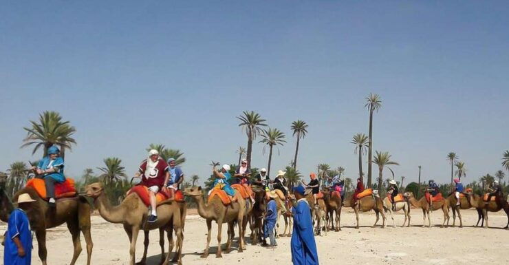 Marrakech: Camel Trek - Experience Highlights