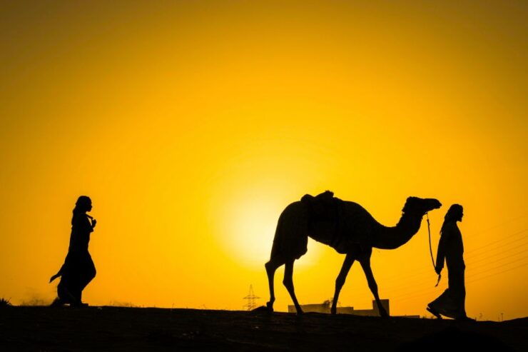 Marrakech: Camels & Quads With Sunset and Dreamy Dinner - Pricing Details
