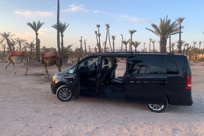 Marrakech City Tour With Driver - Half-Day - Itinerary Highlights