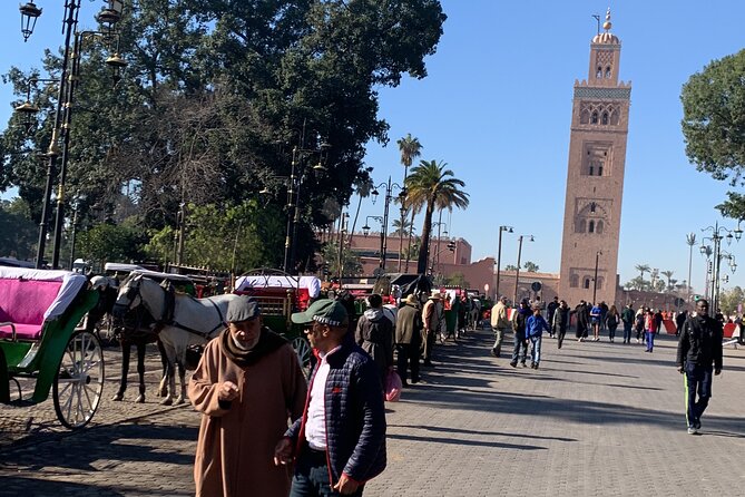 Marrakech City Tour With Private Local Driver - Additional Info