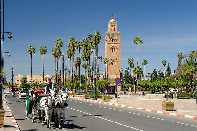 Marrakech City Tour With Private Local Driver - Tour Operator Information