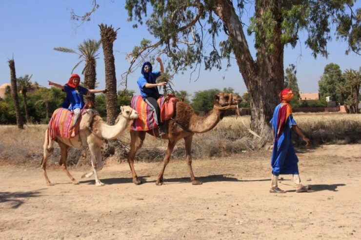 Marrakech: Combo Quad & Camel in the Jbilat Desert - Booking Options & Savings