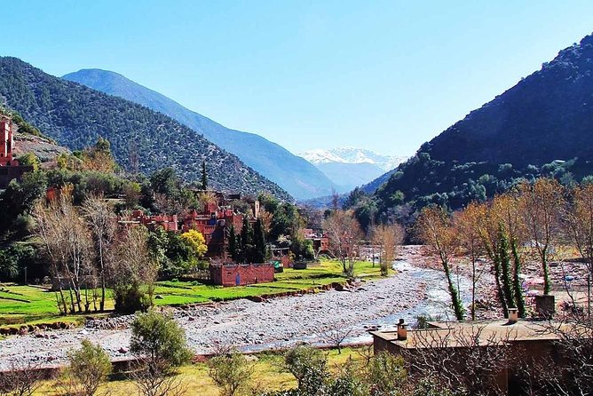 Marrakech Day Tour to Atlas Mountains & Ourika Valley - Hiking Trails: Exploring the Atlas Mountains on Foot