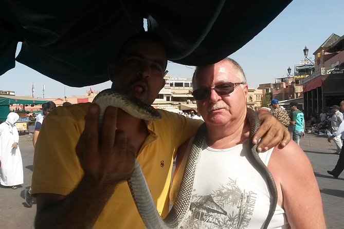 Marrakech Day Trip From Agadir & Taghazout - The Sum Up