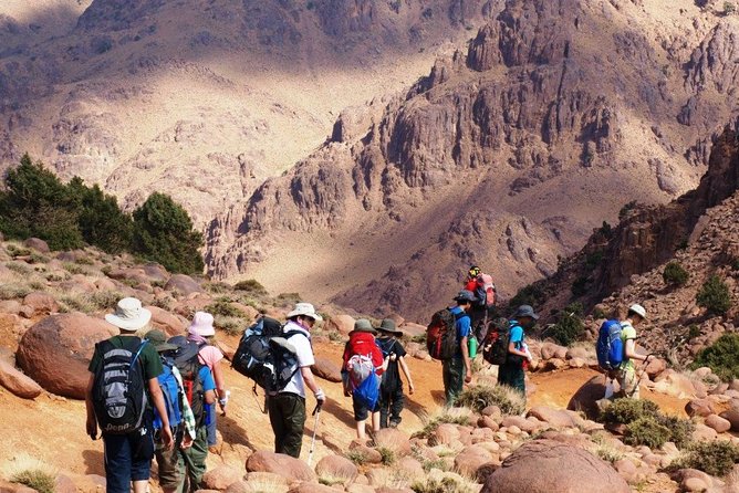 Marrakech Day Trip to Atlas Mountains and Berber Villages - Customer Reviews