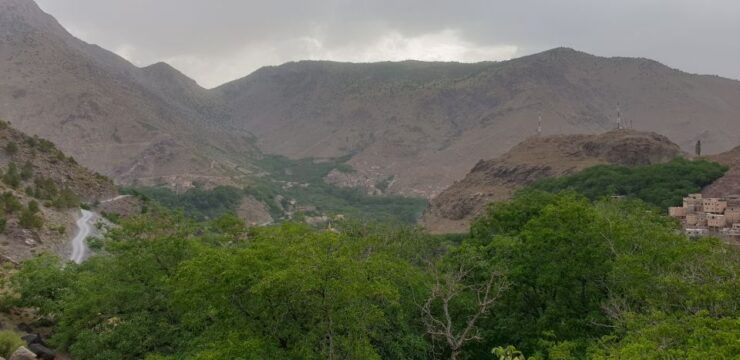 Marrakech: Day Trip to Atlas Mountains and Berber Villages - Activity Highlights
