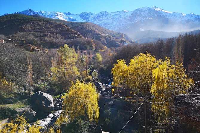 Marrakech Day Trip to Atlas Mountains With Camel Ride in Desert & Waterfall - Meeting & Pickup