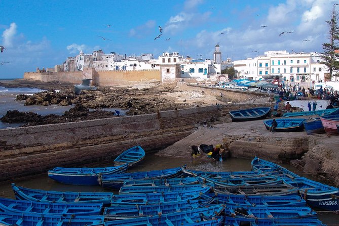 Marrakech Day Trip to Essaouira - Local Cuisine and Dining