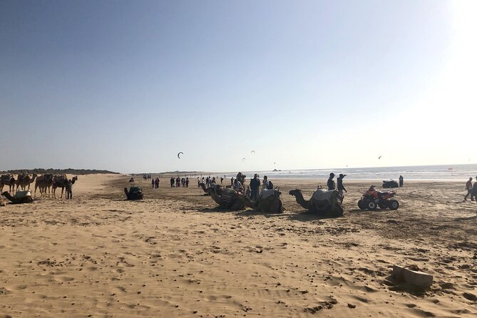 Marrakech Day Trip to Essaouira - Horseback, Camel Ride, ATV on the Beach - Booking Details