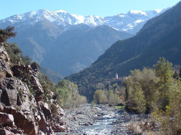 Marrakech: Day Trip to Ourika Valley and Setti Fadma - Experience Highlights