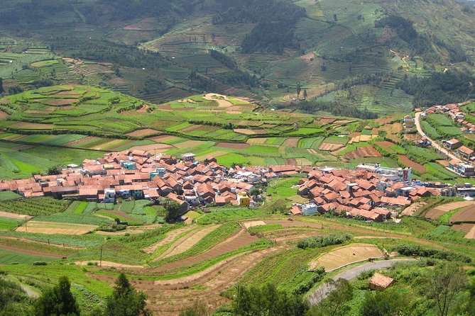 Marrakech Day Trip to Ourika Valley Atlas Mountains - What To Expect