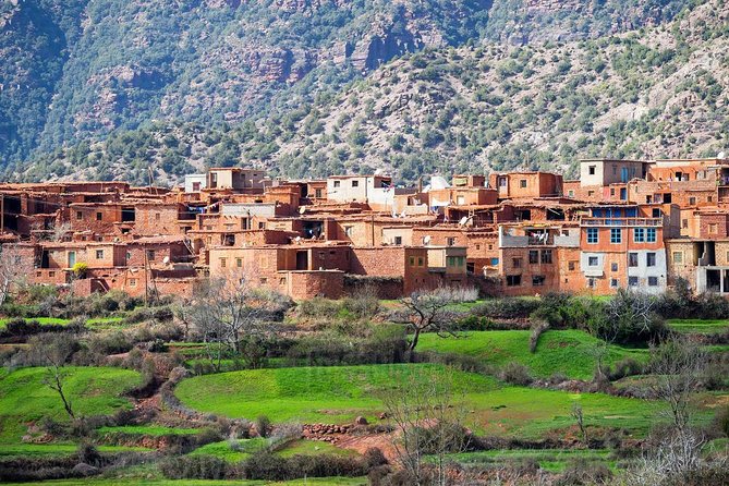 Marrakech Day Trip to Ourika Valley - Customer Review