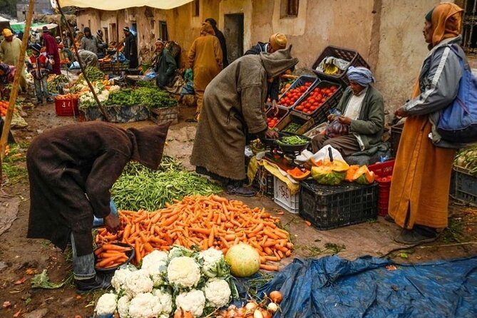 Marrakech Day Trips to Atlas Mountain Including Lunch - Inclusions and Amenities